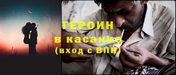 хмурый Аркадак