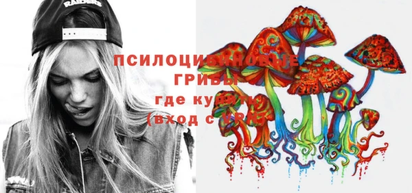 стафф Армянск