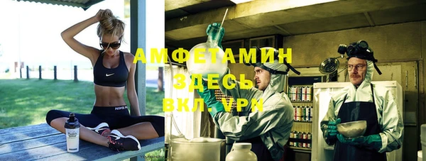 хмурый Аркадак