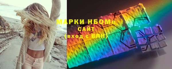 хмурый Аркадак