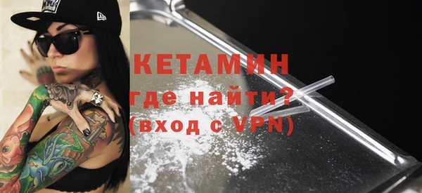 хмурый Аркадак