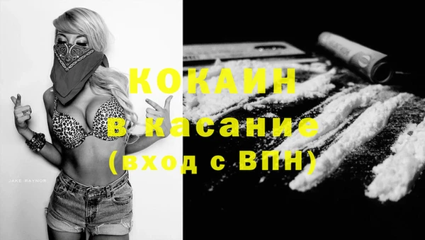 стафф Армянск