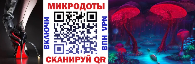 Галлюциногенные грибы мицелий  блэк спрут сайт  Красный Кут 